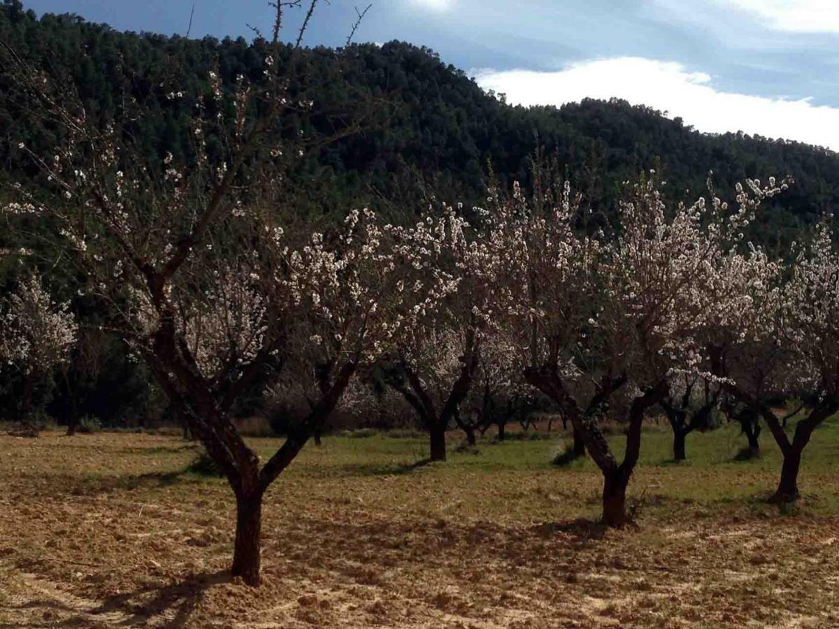 Casa El Pinar Villa Beceite Bagian luar foto